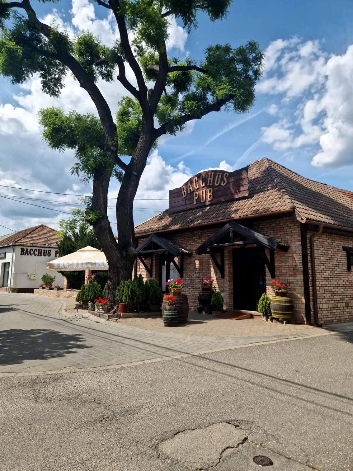 ドゥナハラスティ Bacchus Pub Es Panzio Bed & Breakfast エクステリア 写真
